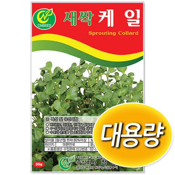 대용량 새싹 케일 씨앗 (500g/1kg)
