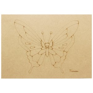 하비나무판-나비