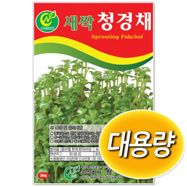 대용량 새싹 청경채 씨앗 (500g/1kg)