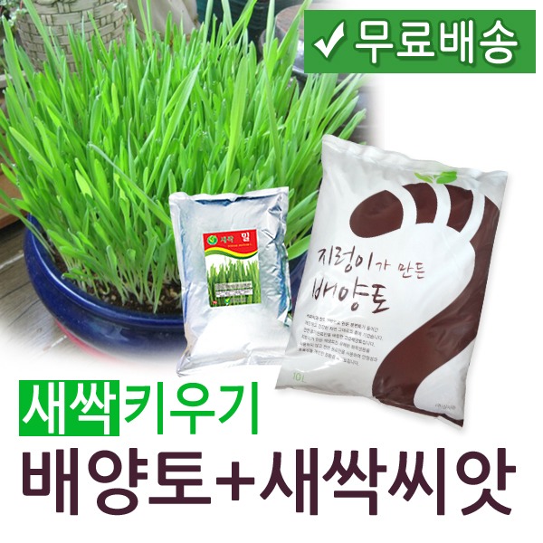 새싹키우기 - 배양토 10L + 새싹씨앗 1kg