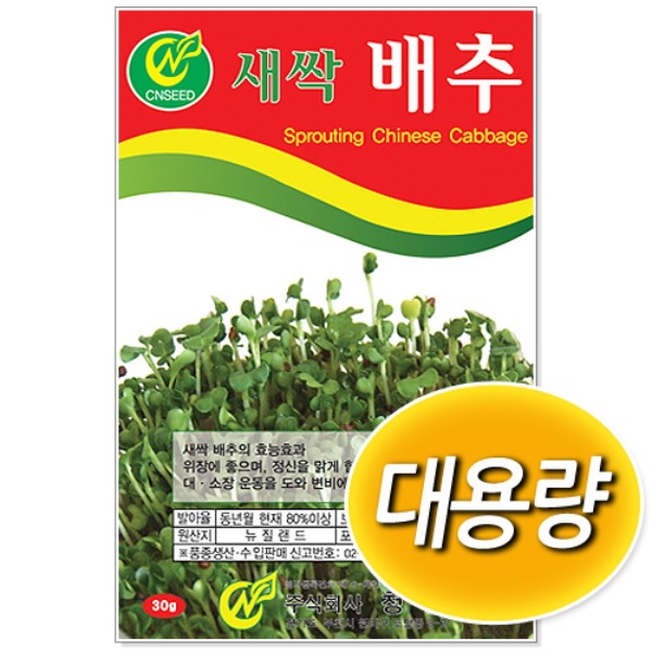 대용량 새싹 배추 씨앗 (500g/1kg)