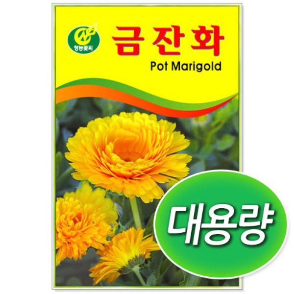 대용량 금잔화 씨앗 (100g/300g)