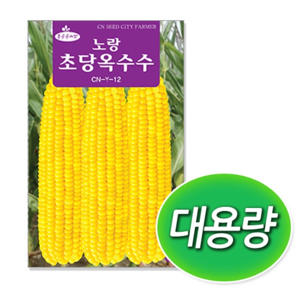대용량 노랑 초당옥수수 씨앗 (400g)
